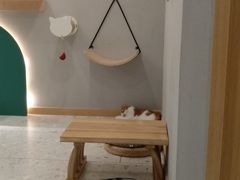 -飞行喵MR PILOT|猫舍·猫咖(静安大融城店)
