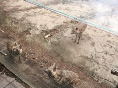 -南昌动物园