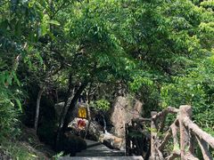-东莞市大岭山森林公园