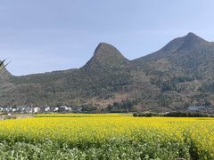 -万峰林风景区
