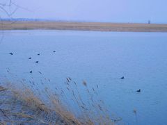 -野鸭湖国家湿地公园