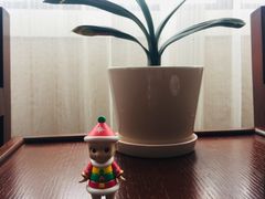 -嵊泗基湖沙滩