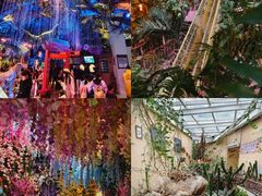 -正佳雨林生态植物园