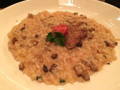 -IL Forno 意坊·意大利餐厅(花园店)
