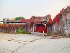 -北京西山国家森林公园