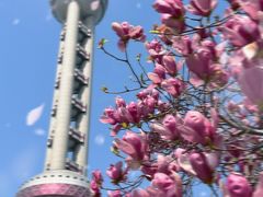 -东方明珠广播电视塔