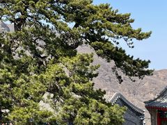 -妙峰山风景名胜区