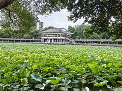 -荔湾湖公园