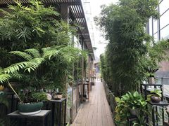 -若蘭慈·无国界素食料理(欢乐海岸店)
