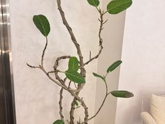 -中粮·祥云小镇