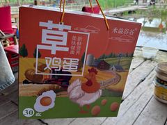 -同銮特种养殖场·龙虾垂钓