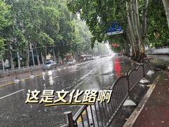 -松果酒店(农业路河南博物院店)