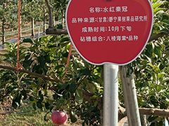 -西北农林科技大学(北校区)