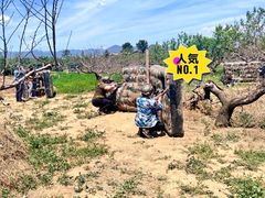 -亲兄弟真人CS团建拓展基地