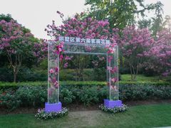 -杭州城北体育公园