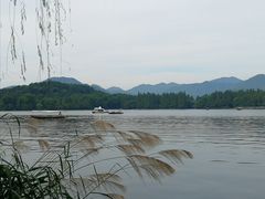 -老头儿油爆虾·1987杭州烟火味(湖滨银泰in77D区店)