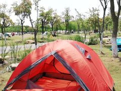 -上海长兴岛郊野公园
