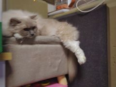 -零纪元VR体验馆·桌游(黄浦店)