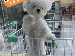 -山东柏宁水族批发广场