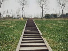 -洨河生态公园