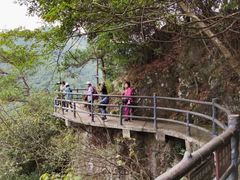 -磐安舞龙峡景区