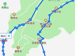 -铁山坪森林公园