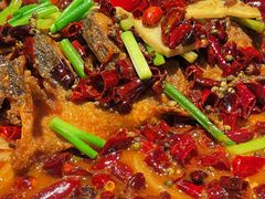 -老板恋上鱼(高新万达店)