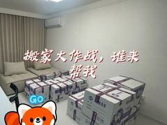 -骆驼日式搬家收纳整理