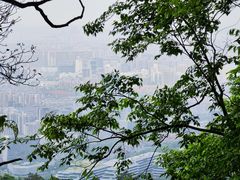 -灵隐飞来峰景区