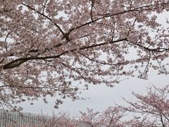 -永乐路-路侧停车场