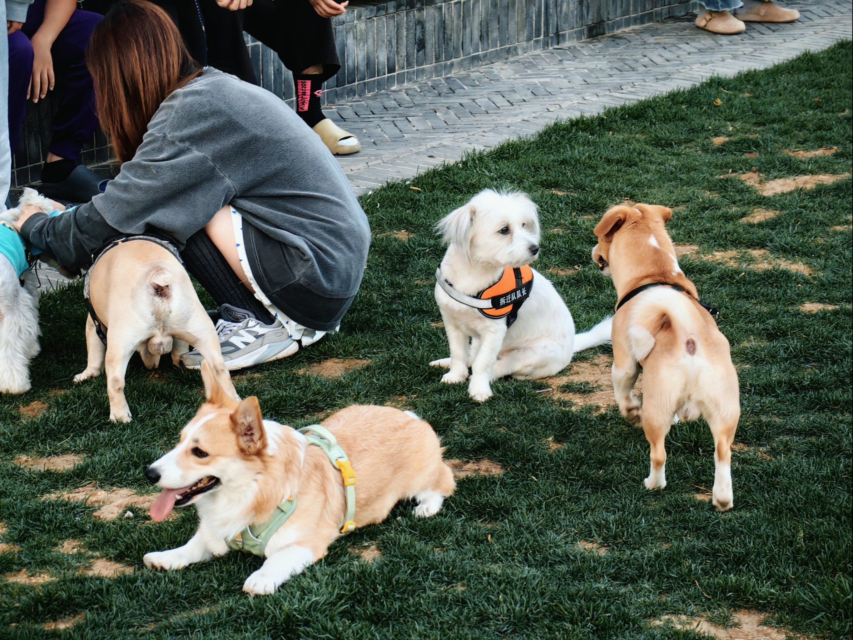 市内宝藏城市花园