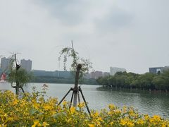 -天鹅湖体育公园