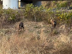 -青岛银沙滩
