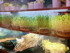 -串一火锅(赛格国际购物中心店)