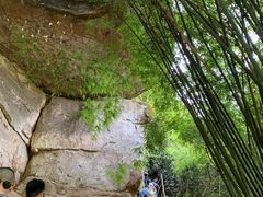-川西竹海景区