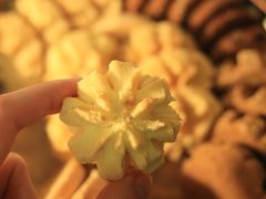 -珍妮曲奇聪明小熊(尖沙咀店)