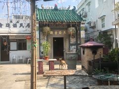 -成记士多(石澳道)