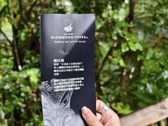 -怀托摩萤火虫洞