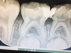 -瑞尔齿科(颐堤港诊所)