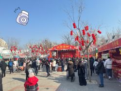 -飞览天下沉浸式飞行体验(北京旗舰店)