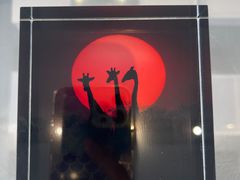 -罗红摄影艺术馆