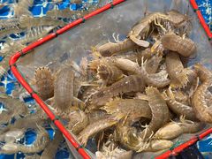 -驻海渔市(置信店)