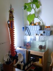 -和寿堂·艾灸·推拿按摩减肥中心