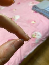 点击看大图 -小小美甲美睫