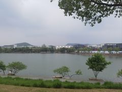 -羊山湖公园