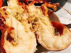 -鲜入围煮花胶鸡海鲜火锅