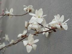 -中国艺术研究院油画院