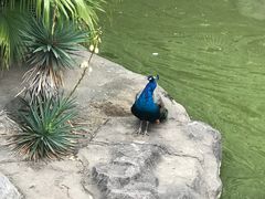 -南昌动物园