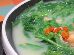-羽鸽集·乳鸽专门店·地道顺德菜(岭南站店)