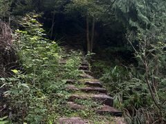 -楠溪江风景名胜区